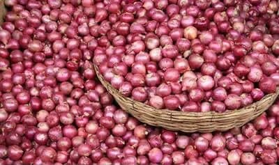 India Boosts Onion Support: Procurement Price Raised by 13%