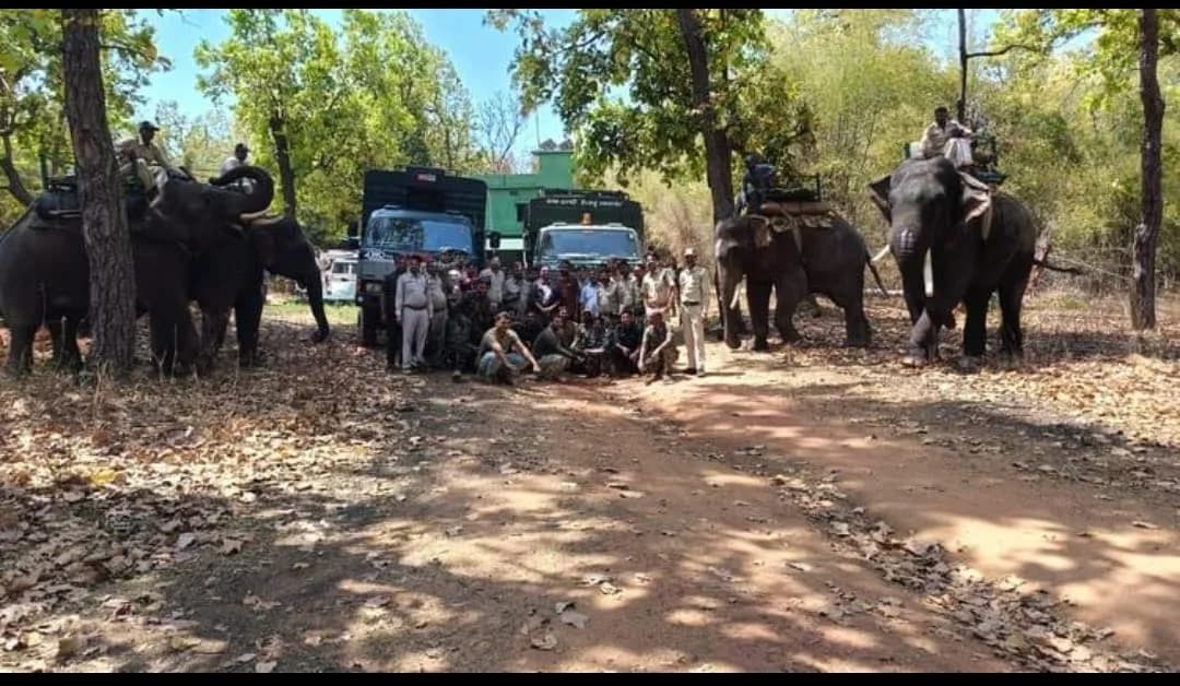 हाथियों के संरक्षण की दिशा में बड़ा कदम: बांधवगढ़-संजय क्षेत्र में वैज्ञानिक कॉरिडोर अध्ययन शुरू