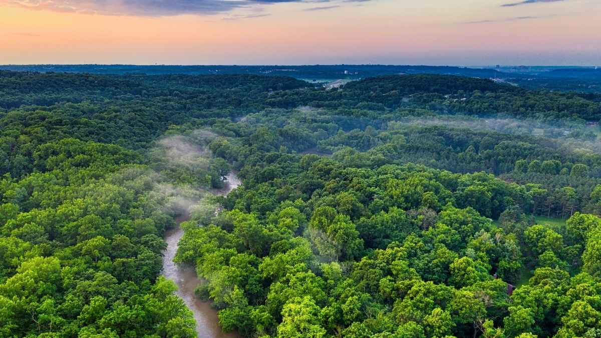 India Rises to Ninth Globally in Forest Area, Maintains Third Spot in Annual Gains