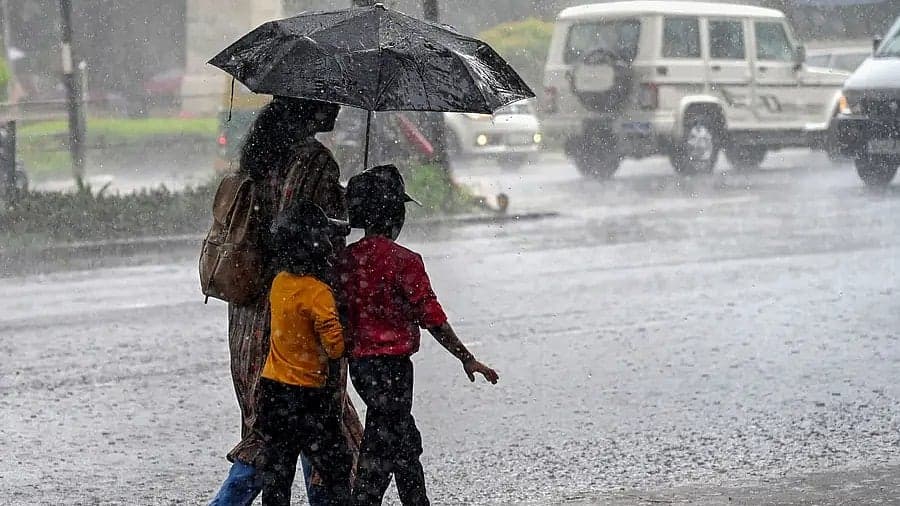 मध्य प्रदेश में 44% बारिश की कमी, मानसून में देरी से किसानों के सामने बुवाई का संकट