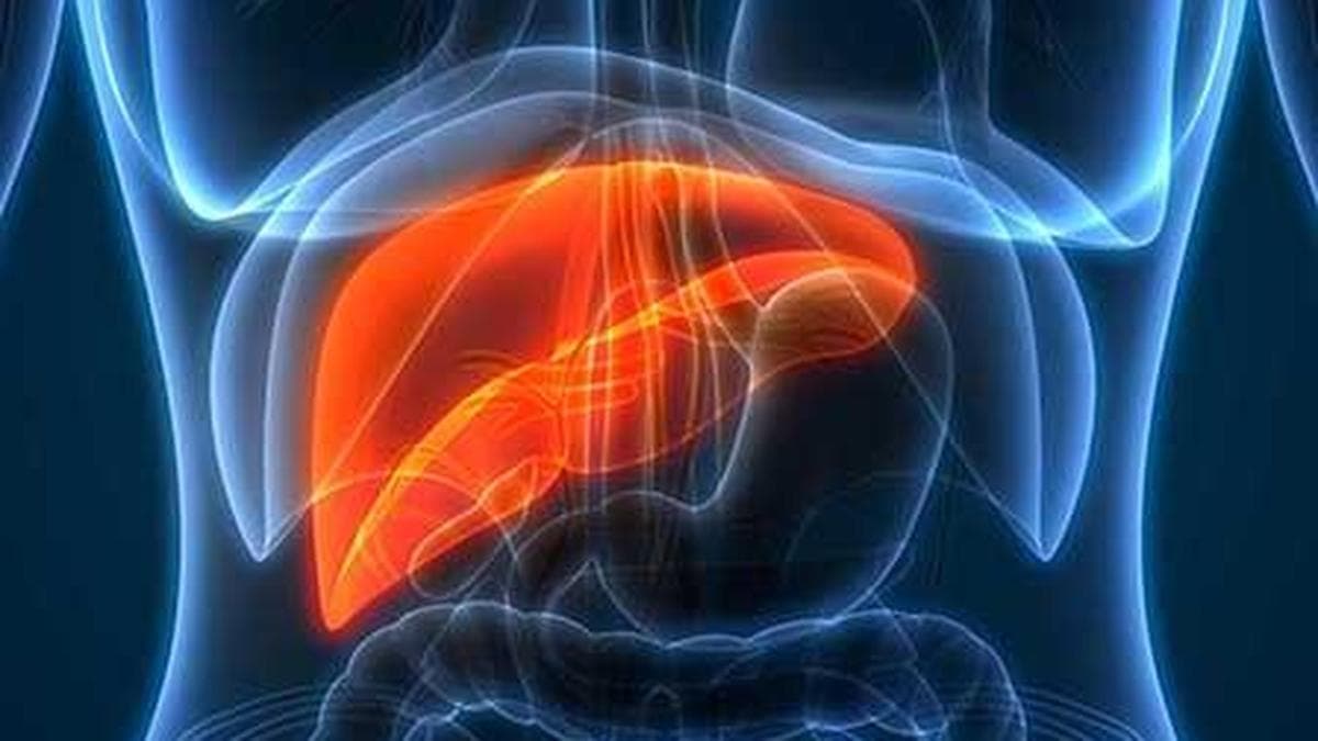 MENA's MASLD Fight Offers Global Insights for Liver Care