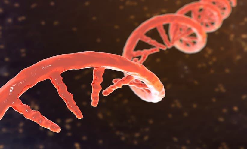 mRNA Therapy & Immune Modulators: New Hope for Reprogramming Allergic Responses